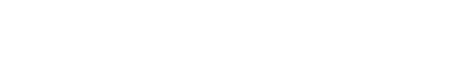 ALISH TECH